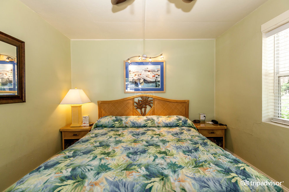 one-king-bedroom--v13741696