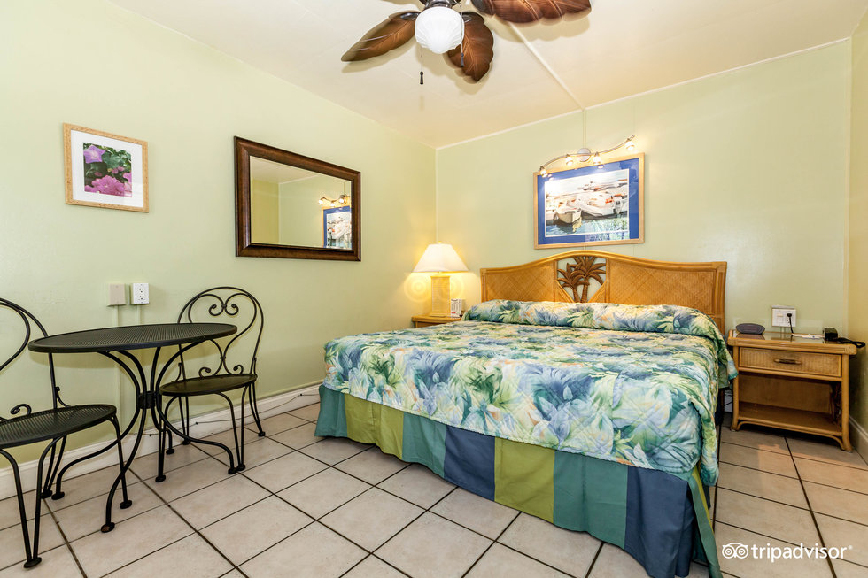 one-king-bedroom--v13741761